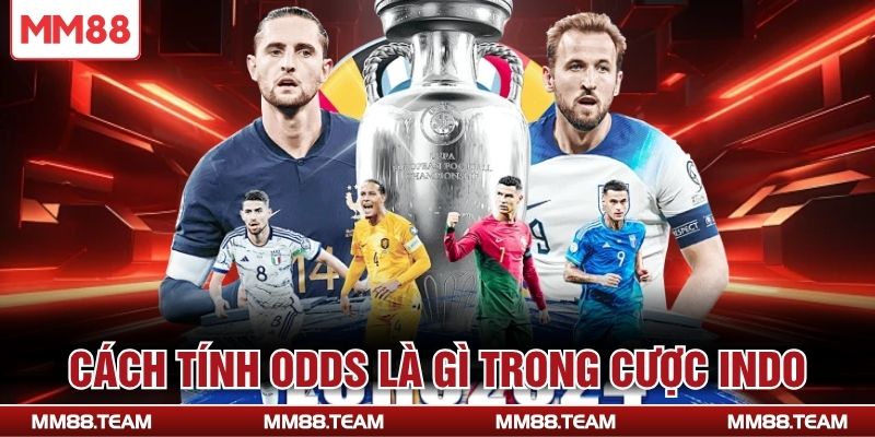 Cách tính Odds là gì trong cược Indo